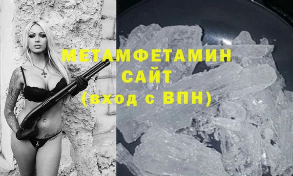 прущие грибы Пестово