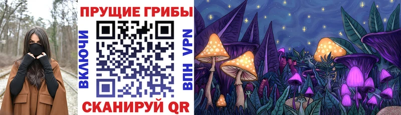 Псилоцибиновые грибы ЛСД Купить Краснообск